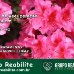 Clínica de Recuperação Católica em Ritápolis | Internação 24h