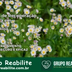 Clínica de Recuperação Católica em Ruy Barbosa | Internação 24h