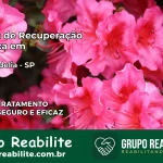 Clínica de Recuperação Católica em Santa Adélia | Internação 24h
