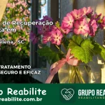 Clínica de Recuperação Católica em Santa Helena | Internação 24h