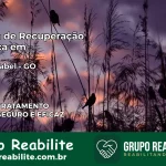 Clínica de Recuperação Católica em Santa Isabel | Internação 24h