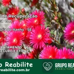 Clínica de Recuperação Católica em Santa Luzia do Itanhy | Internação 24h