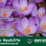 Clínica de Recuperação Católica em Santa Luzia do Pará | Internação 24h