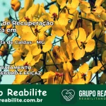Clínica de Recuperação Católica em Santa Rita de Caldas | Internação 24h