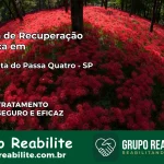 Clínica de Recuperação Católica em Santa Rita do Passa Quatro | Internação 24h