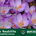 Clínica de Recuperação Católica em Santa Rita do Trivelato | Internação 24h