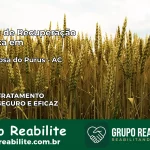 Clínica de Recuperação Católica em Santa Rosa do Purus | Internação 24h