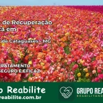 Clínica de Recuperação Católica em Santana de Cataguases | Internação 24h