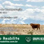 Clínica de Recuperação Católica em Santana do Paraíso | Internação 24h