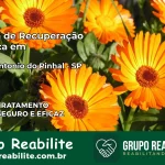 Clínica de Recuperação Católica em Santo Antônio do Pinhal | Internação 24h
