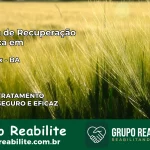 Clínica de Recuperação Católica em São Félix | Internação 24h