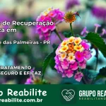 Clínica de Recuperação Católica em São Jerônimo da Serra | Internação 24h