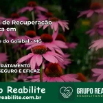 Clínica de Recuperação Católica em São José do Goiabal | Internação 24h