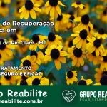 Clínica de Recuperação Católica em São José do Rio Claro | Internação 24h