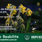 Clínica de Recuperação Católica em São João | Internação 24h