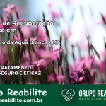 Clínica de Recuperação Católica em São Pedro da Água Branca | Internação 24h