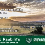 Clínica de Recuperação Católica em São Roque | Internação 24h