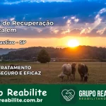 Clínica de Recuperação Católica em São Sebastião | Internação 24h