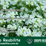 Clínica de Recuperação Católica em Senador Modestino Gonçalves | Internação 24h