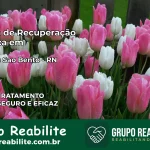Clínica de Recuperação Católica em Serra de São Bento | Internação 24h