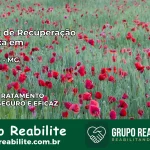 Clínica de Recuperação Católica em Serrania | Internação 24h