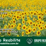 Clínica de Recuperação Católica em Serrita | Internação 24h