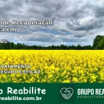 Clínica de Recuperação Católica em Sertão | Internação 24h
