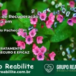 Clínica de Recuperação Católica em Sigefredo Pacheco | Internação 24h