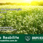 Clínica de Recuperação Católica em Sinop | Internação 24h