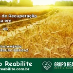 Clínica de Recuperação Católica em Solânea | Internação 24h