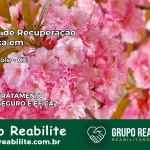 Clínica de Recuperação Católica em Solonópole | Internação 24h