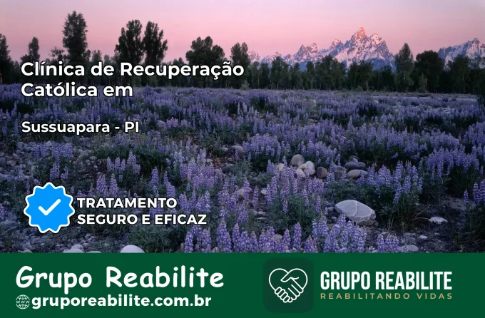 Clínica de Recuperação Católica em Sussuapara | Internação 24h