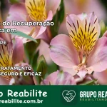 Clínica de Recuperação Católica em Tabira | Internação 24h
