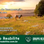 Clínica de Recuperação Católica em Tanque do Piauí | Internação 24h
