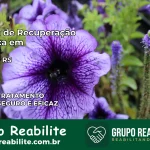 Clínica de Recuperação Católica em Tapera | Internação 24h