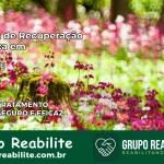 Clínica de Recuperação Católica em Tauá | Internação 24h