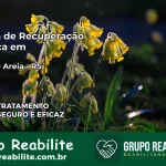 Clínica de Recuperação Católica em Terra de Areia | Internação 24h