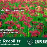Clínica de Recuperação Católica em Tietê | Internação 24h