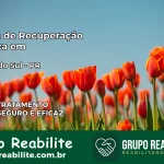 Clínica de Recuperação Católica em Terra Boa | Internação 24h