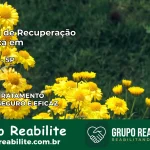 Clínica de Recuperação Católica em Timburi | Internação 24h