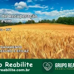 Clínica de Recuperação Católica em Torixoréu | Internação 24h