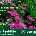 Clínica de Recuperação Católica em Toropi | Internação 24h