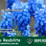 Clínica de Recuperação Católica em Torrinha | Internação 24h