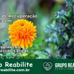 Clínica de Recuperação Católica em Trabiju | Internação 24h