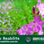 Clínica de Recuperação Católica em Tremembé | Internação 24h