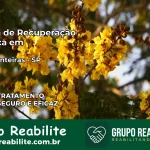 Clínica de Recuperação Católica em Três Fronteiras | Internação 24h