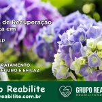 Clínica de Recuperação Católica em Tuiuti | Internação 24h