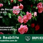 Clínica de Recuperação Católica em Tunas | Internação 24h