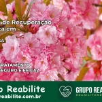 Clínica de Recuperação Católica em Uauá | Internação 24h