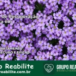 Clínica de Recuperação Católica em Uru | Internação 24h